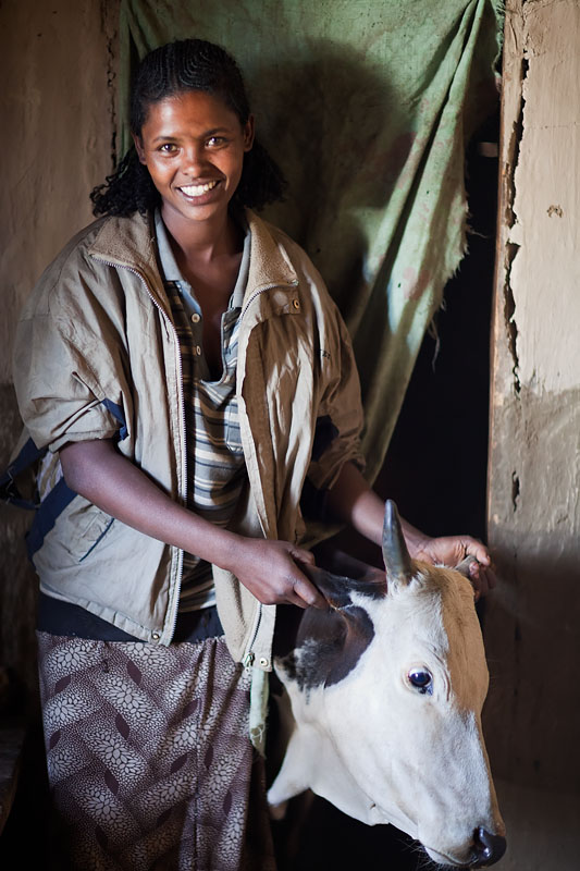 219   Gurage woman with her cow   Ethiopia